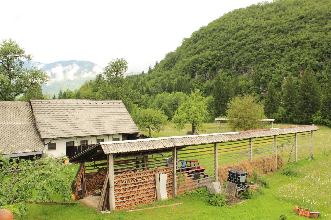 Apartments Villa Dov Bohinj Exterior foto